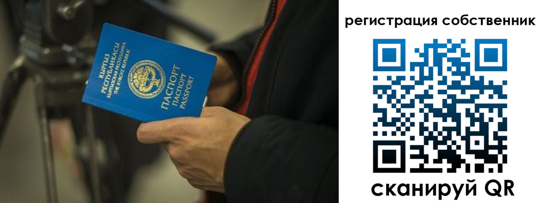 временная регистрация поиск в Тольятти